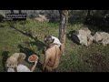 Red Dead Redemption 2 #4 - Cap. 2 Mirador de la Herradura - Sociedad educada -Americanos descansando