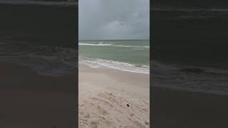 Famous Bonita Beach at Doc's Beach House Wealth