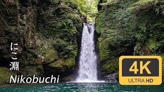 Nikobuchi Waterfall - Kochi - にこ淵