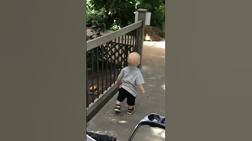 First trip to the butterfly pavilion! #butterfly #fun #familytime