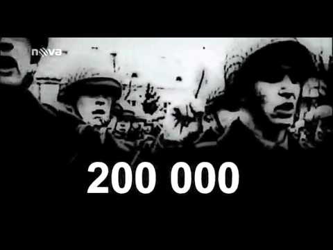 Video: Koľko Krajín Sa Zúčastnilo útoku Na ZSSR V Roku 1941 - Alternatívny Pohľad