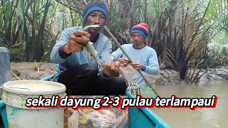Download Lagu BANYAK HASIL TANGKAPAN TENTUNYA SEBUAH HARAPAN BESAR BAGI SETIAP NELAYAN. MP3 Download Lagu BANYAK HASIL TANGKAPAN TENTUNYA SEBUAH HARAPAN BESAR BAGI SETIAP NELAYAN. MP3