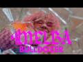 MELBA Bulldozer Clip Officiel 
