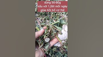 Cây cỏ xước đun nước uống hàng ngày giúp bồi bổ cơ.#baithuocdangian