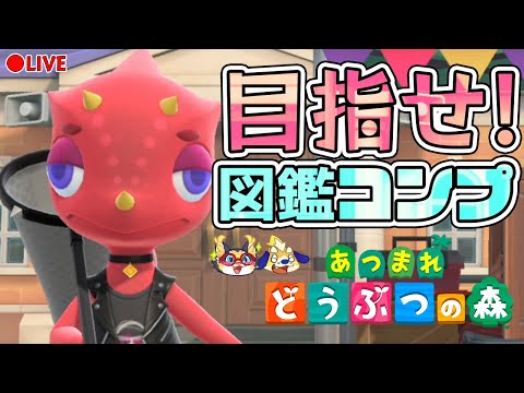 あつ森！未だに図鑑コンプをしていない！魚が終わったら海の幸をコンプリートめざすぞー！【あつまれどうぶつの森】