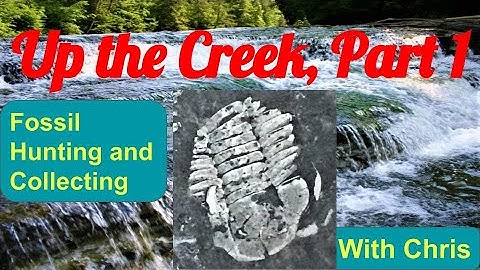 Fossils - Up the Creek Part 1 Fossil Hunting and Fossil Collecting with Chris