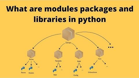 Python || Using Python Libraries || Class 12 || Part 1