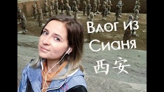 CHINAЛОГИЯ Vlog: Сиань/西安. Золотая неделя, горы и BB-лапша