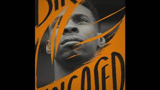 Bird Uncaged:  An Abolitionist's Freedom Song pre-order promotional video Guide