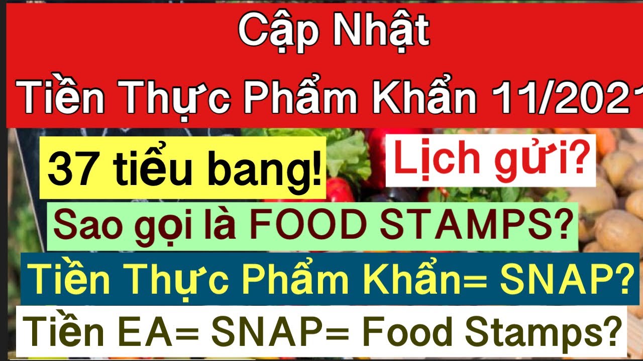 #484] 🇺🇸Tiền FOOD STAMPS/SNAP/EA giống nhau? Thêm 15 TB có tiền Thực Phẩm Khẩn tháng 11