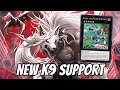 New SKYBLASTER Card! INSANE K9 Support &amp; Deck Profile