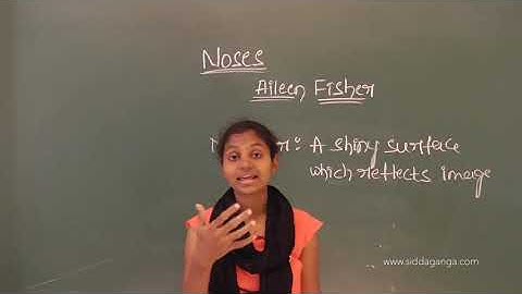 CBSE 4 - ENGLISH - NOSES