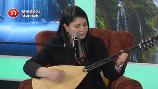 Aysel Yılmaz - Neyine Güvenem Yalan Dünyanın Resimi