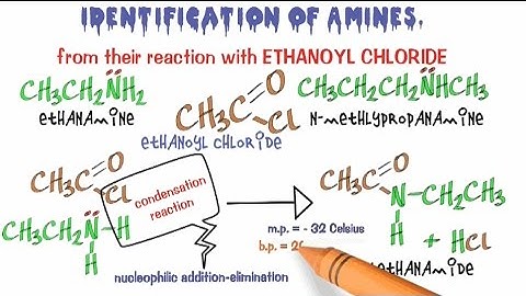 Amines 5. Identification of Primary & Secondary Amines.