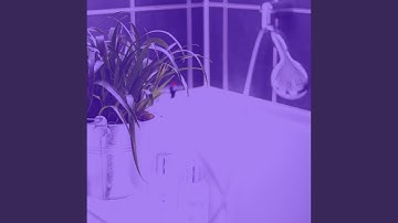 Dashing Backdrops for Spa Days