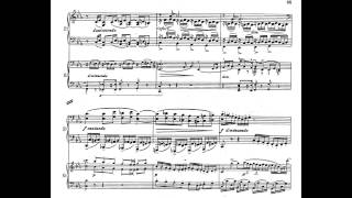Nikolai Medtner - Piano Concerto No.2 (Op.50)
