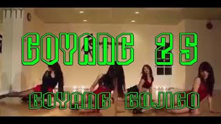 Dj Goyang 25 (Gojigo)