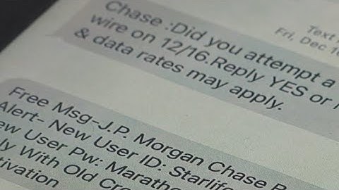 Where do spam texts go when reported?