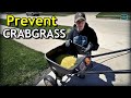 Prevent CRABGRASS In YOUR LAWN // Fertilizer Spreader Calibration // Project Lawn Updates