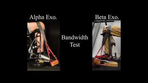 Witte 2015 ICRA video