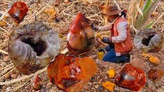 Summer In Cambodia, Find Natural Agate, Carnelian, Chalcedony...In A Dry Stream Alone.