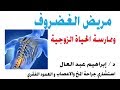 هل يستطيع مريض الغضروف ممارسة الحياة الزوجية #إرشادات_عصبية