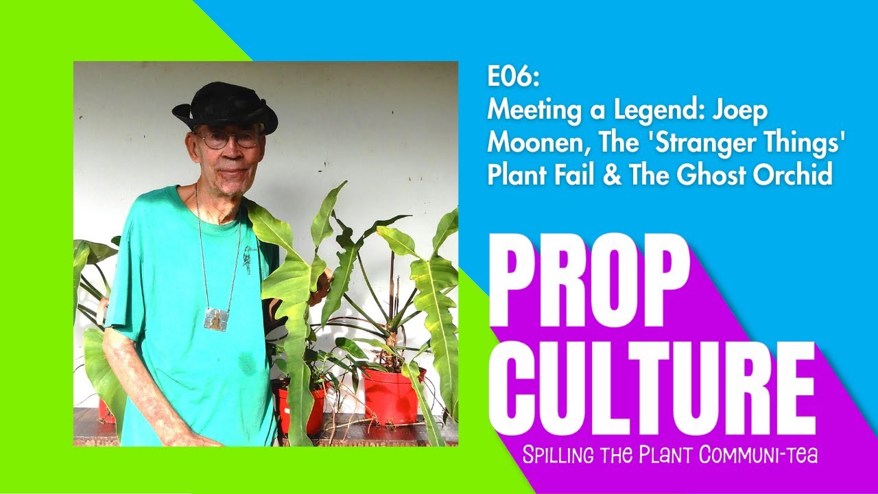 E06: Meeting a Legend: Joep Moonen, The 'Stranger Things' Plant Fail & The Ghost Orchid