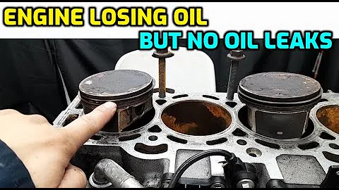ENGINE BURNS OIL BUT NO LEAKS