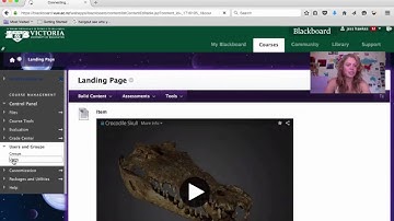 How to add a teaching assistant (user) to blackboard