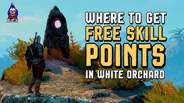 Where to Get 6 FREE Skill Points! | The Witcher 3 | White Orchard Places of Power