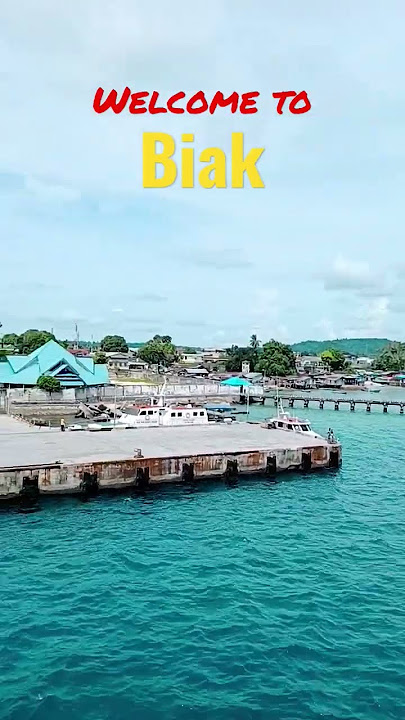 DETIK-DETIK KAPAL SANDAR DI PELABUHAN BIAK #shorts