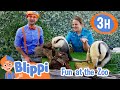 Learning about fun cool zoo animals  more   blippi and meekah best friend adventures