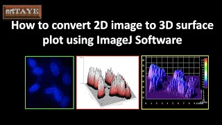 Convert 2D image to 3D surface plot using ImageJ Software screenshot 3