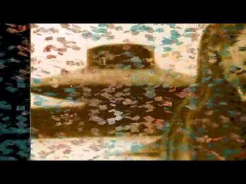 Interlude...Cats Ate Her Face... Video