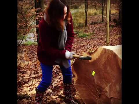 Barcoding a French oak log for barrel wood traceability