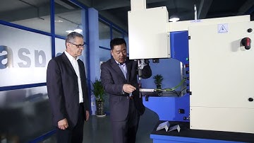 Fastener Insertion machine with 100% safety device