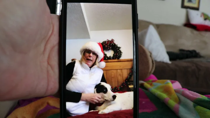 Christmas with Lily