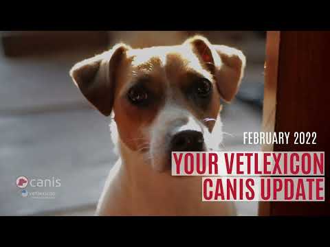 Vetlexicon Canis Update - February 2022