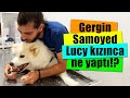 O DİŞLER NE!? 😱 Lucy Beni Isırmakla Tehdit Edince Ne Oldu? 🤫 #inanoğlu