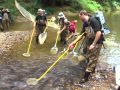 Electrofishing in the Stream