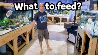 What do we feed our hundreds of fish? How much does it cost? by Riffwaters 3,671 views 11 days ago 12 minutes, 25 seconds