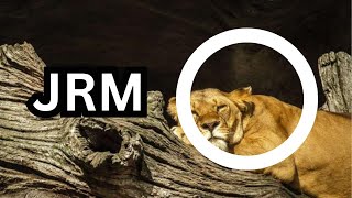 Low Mileage  Im Not Ready  Garage  Ncs  Copyright Free 