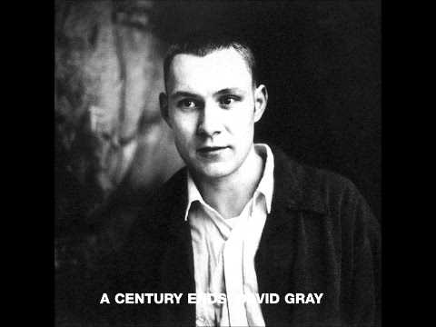 David Gray (+) Gathering Dust