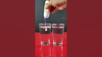Fevicol Vs Water  🔥 Cool  Easy experimet at home #experiment #shorts #science #fevicol