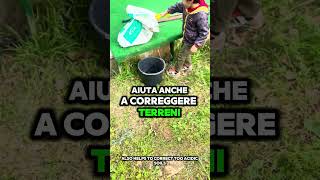 Non Sprecare La Cenere, Usala Nell’orto