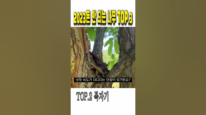 2023돈 안 되는 나무 TOP.3