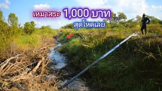 เหมาสระ 1,000 บาท โหดสุดเท่าที่เคยเจอ สระเเบบนี้ งานช้างสุดๆ / บ้านนอก EP.553