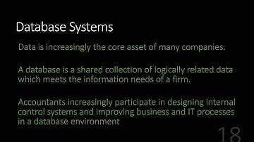 Auditing AIS Components: Databases
