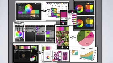 Summary of  Theresa-Marie Rhyne