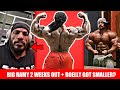 William Bonac Physique Update + Big Ramy 2 Weeks Out? + Roelly Winklaar Down-Sized + Olympia News